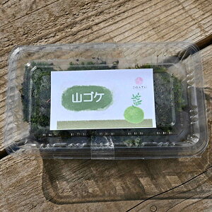 Rہ@TCY@1pbN@}SP9cm×14cmۃeEۋʖ~͗@yΉł܂