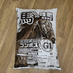 o[N͔I 40LޗǌYnӂ񔭍y@