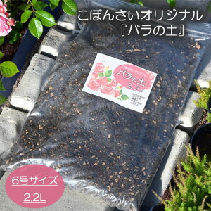 op̔|{yڂ񂳂IWi o̓y 2.2bg |{y zy KN̓y 6TCY