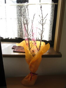 12222026N1ɊJԂ̍jޗǌg[ yzw[ijx{