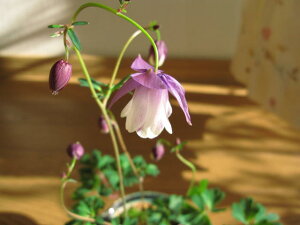 y2025N3`4ɊJԗ\zF炫I_}LyR쑐z