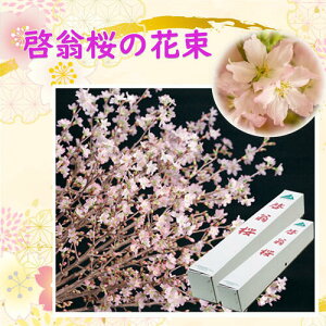 ������12��23�����~�ɃT�N���ł��Ԍ��������߂ł�2025�N���瑡�蕨�ɂ������߂�����؂�Ԃł��Ԍ��M�t�g�~�ɍ炭���ޗǋg��̌[�����V�N�̂��j���p�Ɂw�[�����i��������������j�x�� 