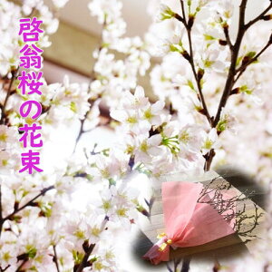 1223̂Ԍyތ[ԑ2025N蕨Ɂ@TN𑡂yzw[ijx ԑ