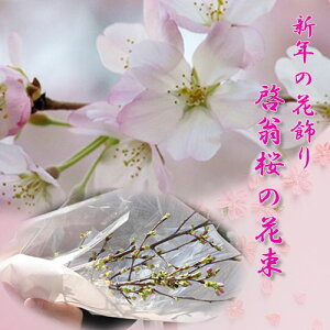 ������12��23�����V�N�̏����2026�N�T�N���ł��Ԍ��ɔN���N�n1������3���̂��j�����蕨�ɂ������߂��Ԃ̑��蕨�ɏt��������~�ɍ炭���ޗǋg��[�����v���[���g�Ɂ@���j�����̑��蕨��