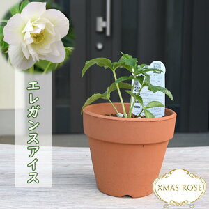 2023NV NX}X[Y A GKXACX ~V d炫 NX}X[Y