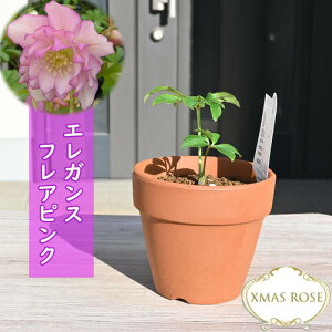 2023NV NX}X[Y A GKXtAsN ~V d炫 NX}X[Y