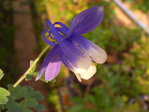 2025NJԃ~}I_}L@yR쑐z