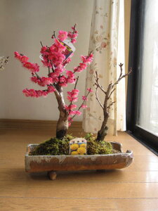 }t~͍g~Ԗ~́F~͑蕨~͐My@@~~́@