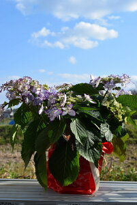 ŷ͂ƂȂ܂z5蔭 MtgAWTC@2025N߂̃AWTC@ЂȍՂAWTC@u[