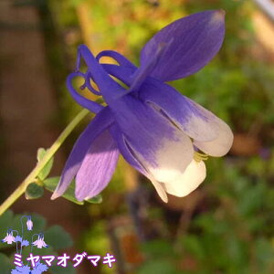 2025NJԗ\~}I_}L |bgc R쑐 h N [RI_}L