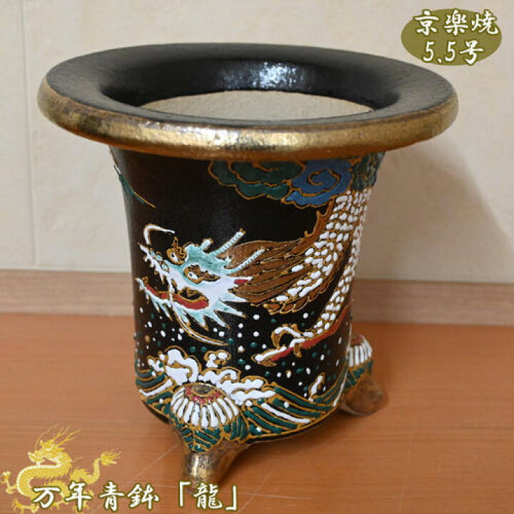 楽天市場】現品 高級 国産 万年青鉢 龍 京楽焼 5.5号 植木鉢 オモト 