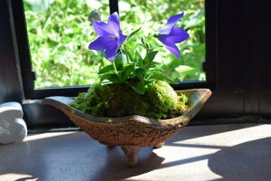 av[g2025NLLEj[yMyĂzA@67ɊJ