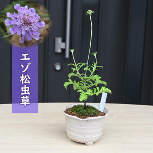 2024NNEW G] A R쑐 ڈΏ G]}cV\E