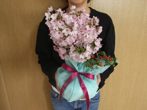 ̓̃v[gɂjTN@2025N45ɊJԎłԌy~̓Mtg~͌aƒ~̊񂹐A~̓Mtg