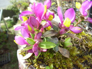 y8{`9ɏzgLqnMƂ݂̊񂹐A