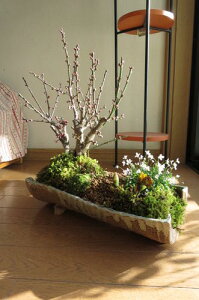 2026NJԔ~ ~́y~́@~zg񂹐A~͍g~ƎR쑐̊񂹐AN̊JԂ͏x߂łBXX g~ yzg~{̎gƔ̔~̉