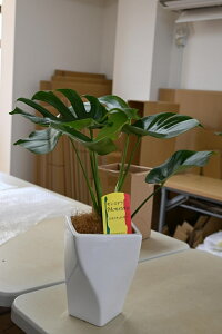 픫胂Xe@@50Z`yz@Xe yϗtAz