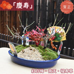 c VN2025Nĵ 蕨 g~ V  񂹐A ~ j ie Nǂ NNn̑蕨