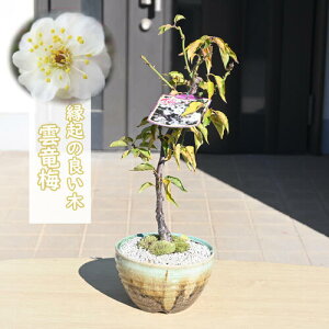 2026N23J ^C㏸ _~ A ~ イ΂ EEoC _ ⽔~ REeoC d炫 ~ N ͔|e