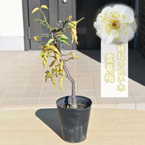 2026N23J ^C㏸ _~ ~c イ΂ EEoC _ ⽔~ REeoC d炫 ~ N ͔|e