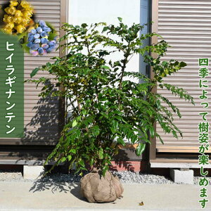 NhȃqCMie c Qc c 130Z`O㖂@AV