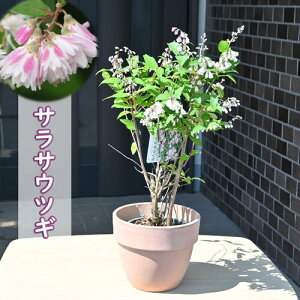 v[g2025N5J TTEcM A eRb^ Xы d炫 GEcM