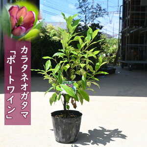 2024NNEW J^lIK^} |[gC c 폵 xjoiJ^lIK^}