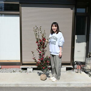 2025N2JԂ̍120Z`Oコ񂩕cy؁z yRԕczTUJc񂩕c ʖYTUJ@Ԃ͓Fdg񂩕c