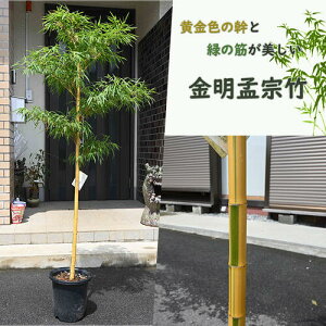 2026N6甭NEW@Џ@| LCE\E`N