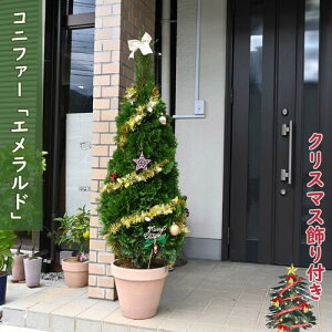 yiz2025N113Be Rjt@[uGhvANX}Xc[ɃGh Rjt@[eRb^GhO[ X}OV{c[ډB