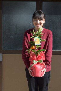 2025Nv[gɈĂy5`7ԂJԌ̂Ȃ݂𑡂蕨Ɂ@݂v[g@݂̖؃~JAĂ܂B@r^~Ć@Ɖu̓Abv݂񔫐A