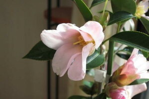 2025NJԁycoLMyAz ycoLzyցz@΂т@̂я