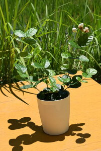 2025N6J仉ԁ@c@}cJc@ArAWX~c@ArAWX~}cJ