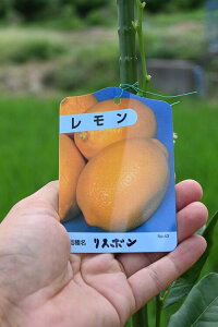 c؁ycX{zEG@ʎyĂāAn悤