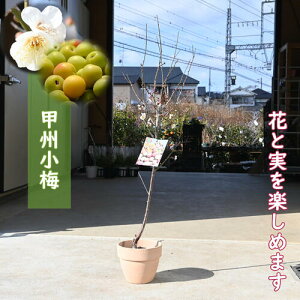 bB~ A ʎ eRb^ bBŏ bB ~ ~