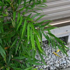 }zjARt[Tc@Qc50Z` Ύ חtqCMie Rt[T