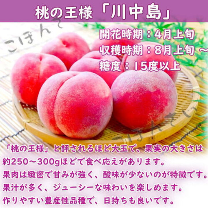 楽天市場】果樹 川中島 白桃 苗木 モモ : 園芸百貨店何でも揃うこぼんさい
