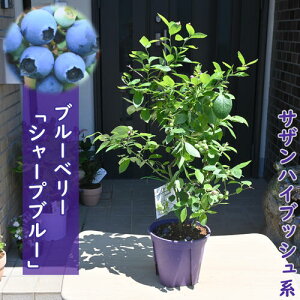 u[x[ V[vu[ c ʎ TUnCubVn i