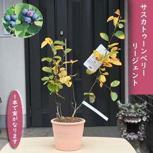 2024NNEW TXJgD[x[ [WFg eRb^ʎ mUCt{N ␫i gt 