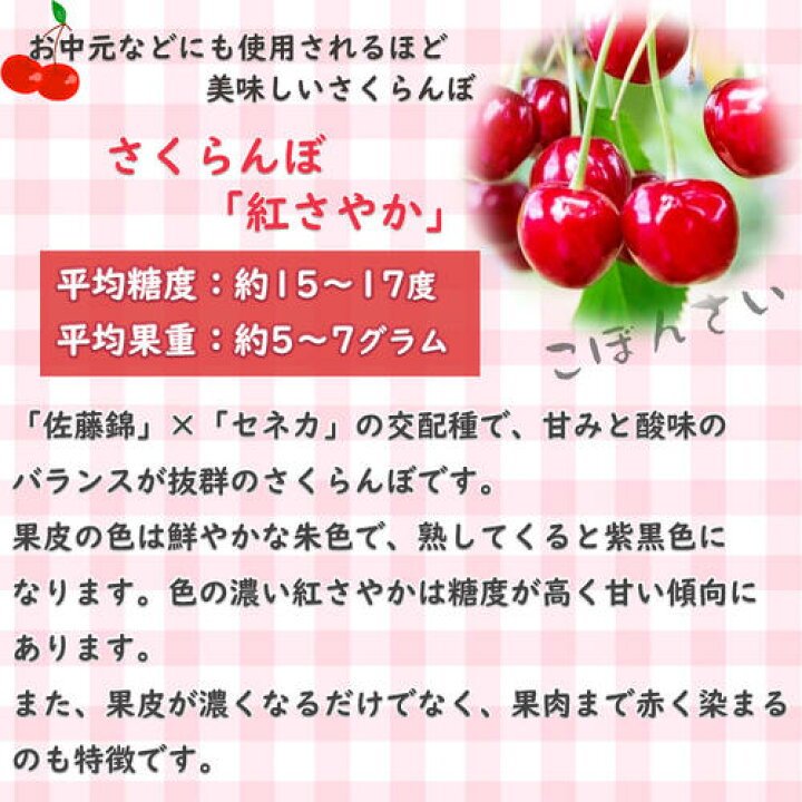 楽天市場】2026年NEW 紅さやか 苗木 サクランボ 接ぎ木 2年生 早生 