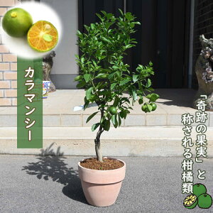 2025N9t J}V[ A lGk ʎ@lG@@k@tBs@lG炫