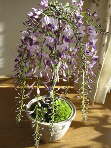 Mtg@~2025N4JԍƂԂy߂铡