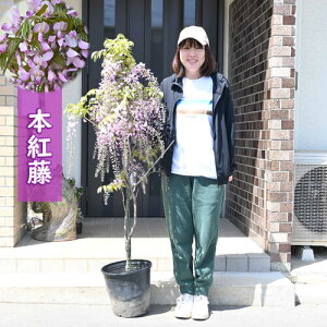 11{12̂͂ƂȂ܂BAłĂ鎖ł܂@̉2026N4{JԒ c g tW {g 4{ȍ~͗tł̂͂ɂȂ܂