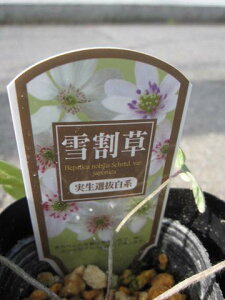 hኄ@@ኄ葐@|bgc@@Fn 