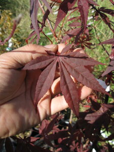 ́X쑺y݂z y~Wzygtz@݂c