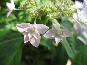 RAWTCiԁ@c ŷzc̏Ԃł̂͂ƂȂ܂