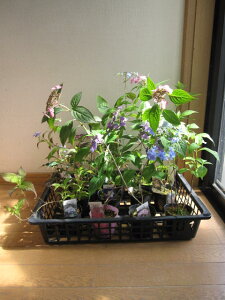 AWTC @AWTC낢둗@c10Zbg