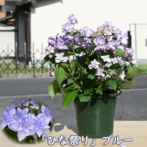 ŷ͂ƂȂ܂z2024N5J 蕨 d炫AWTC ЂȍՂ u[ z  @JԊAWTCizԁEjЂȍՂu[
