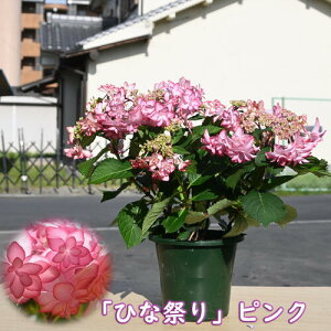 ŷ͂ƂȂ܂z̓Mtg̓2025N5蔭5J 蕨 Ԕ d炫AWTC ЂȍՂ sN z  @JԊAWTCizԁE