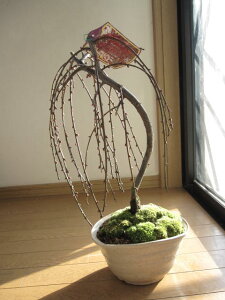 2026N3JԂ~~́@@ԉԁy~z }~ Ԃ̂~@[Ԗ؁EԔ~E͂Ȃ]